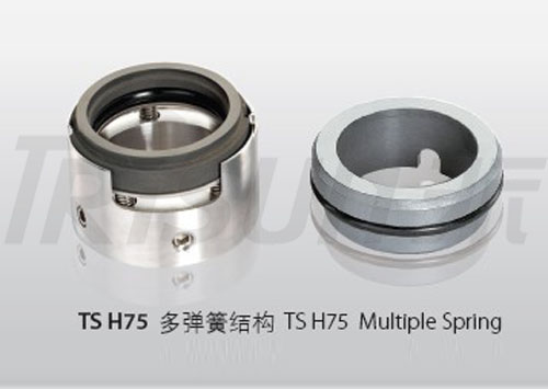 TS H7N 车制机械密封件 替换博格曼 H7N TS H75替换 博格曼H75 和 MTU DR1-HS
